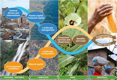 A Framework to Assess Forest-Agricultural Landscape Management for Socioecological Well-Being Outcomes